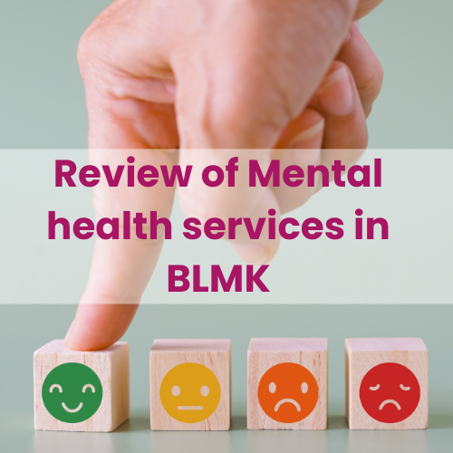 review_of_mental_health_services_in_blmk
