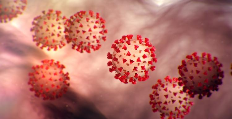 Coronavirus