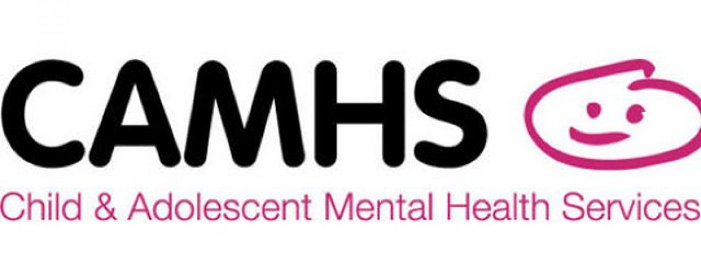 CAMHS Parent Partnership Engagement Forum Healthwatch Bedfordborough CAMHS Parent Partnership Engagement Forum Healthwatch Bedfordborough