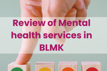 review_of_mental_health_services_in_blmk