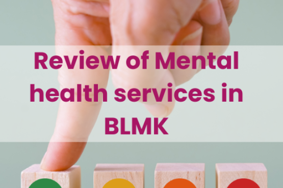 review_of_mental_health_services_in_blmk